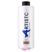 Шампунь для блиску волосся Elea Professional Artisto Balance & Control Shine Shampoo, 1000 мл