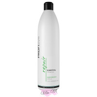 Відновлюючий шампунь для пошкодженого волосся ProfiStyle Repair Shampoo, 1000 мл