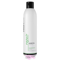 Відновлюючий шампунь для пошкодженого волосся ProfiStyle Repair Shampoo, 250 мл