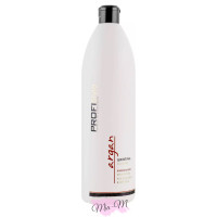 Поживний шампунь з аргановим маслом для сухого та ламкого волосся ProfiStyle Argan Shampoo, 1000 мл