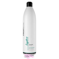 Зволожуючий бальзам для сухого волосся ProfiStyle Hydro Balsam, 1000 мл