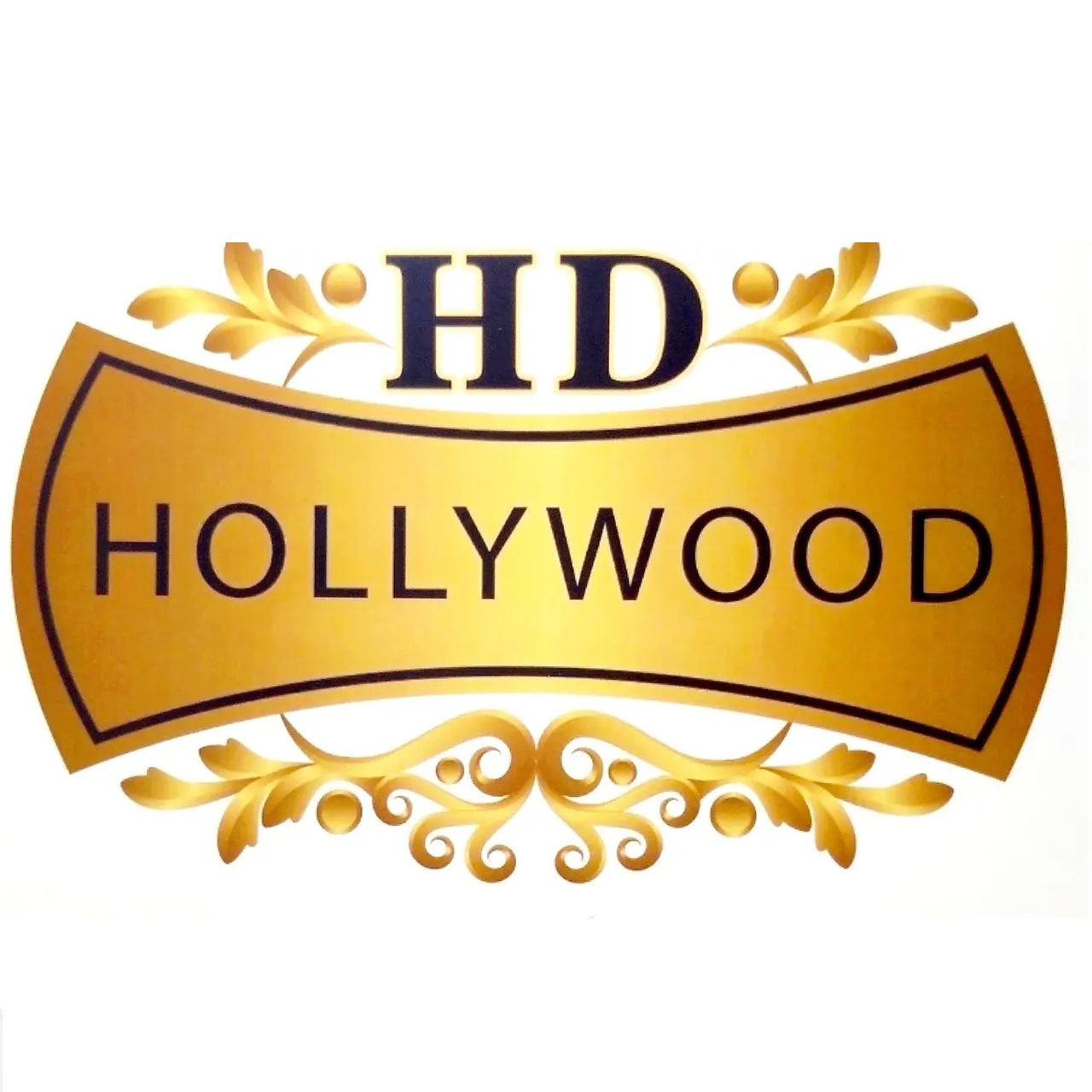 Hollywood Professional